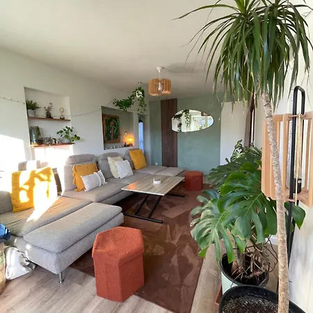 Appartement T3 - Foret & Plage Anglet Exterior photo