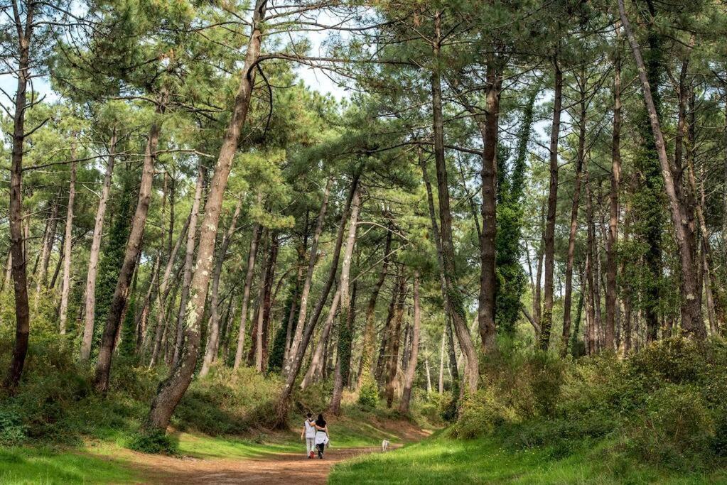 T3 - Foret & * Anglet